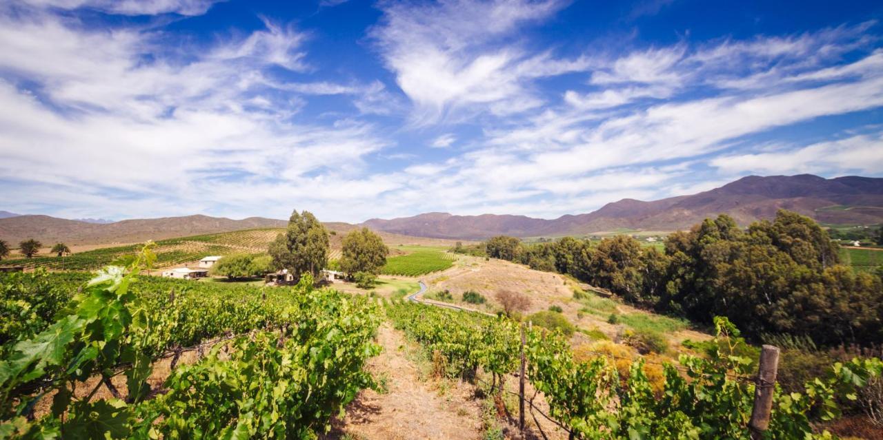 Arendsig Wine Estate & Cottages Bonnievale Kültér fotó