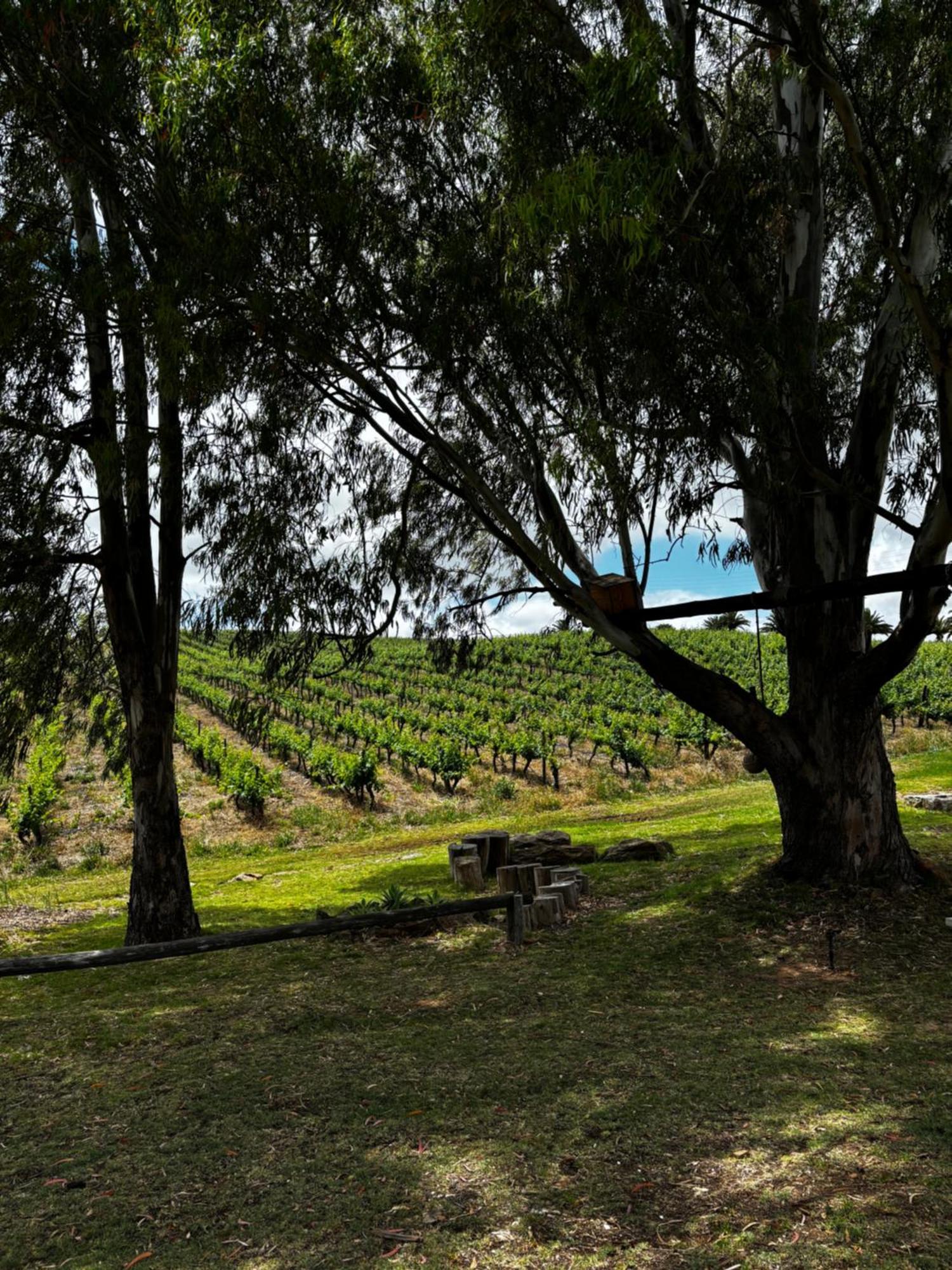 Arendsig Wine Estate & Cottages Bonnievale Kültér fotó